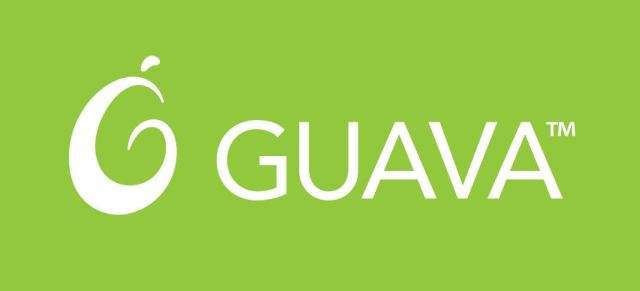 Google Guava学习教程&视频