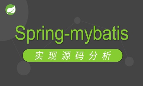 Java互联网架构师专题之【Spring&Mybatis源码分析】视频教程